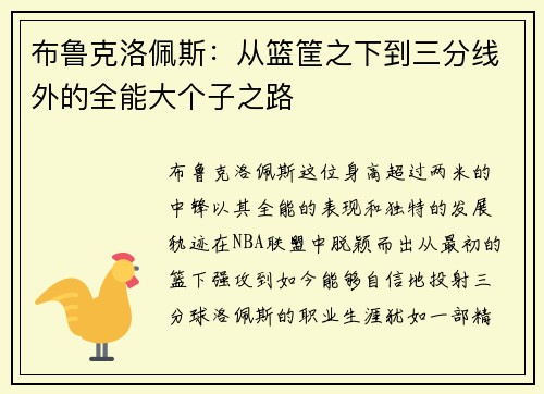 布鲁克洛佩斯：从篮筐之下到三分线外的全能大个子之路